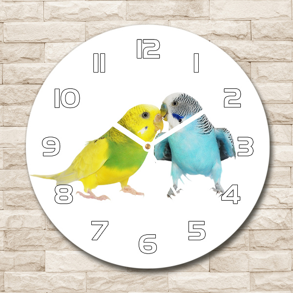 Round wall clock Faded parakeets