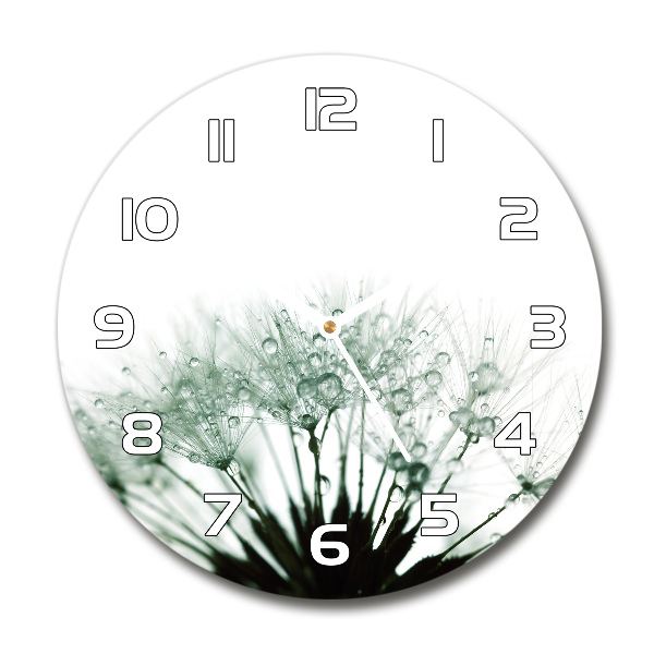 Round clock glass Dandelion seeds