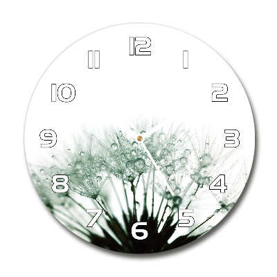 Round clock glass Dandelion seeds