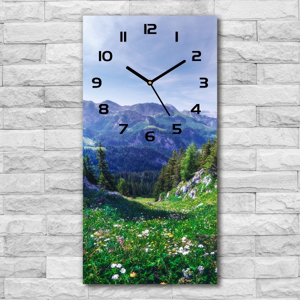 Vertical rectangular wall clock Alps