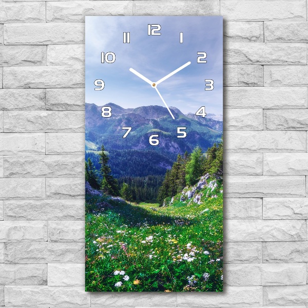 Vertical rectangular wall clock Alps