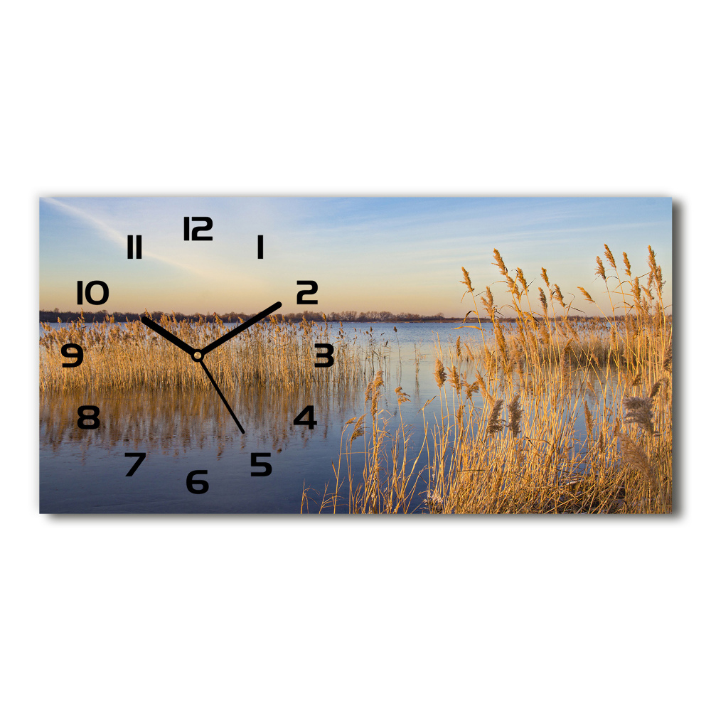 Horizontal rectangular wall clock Water cane