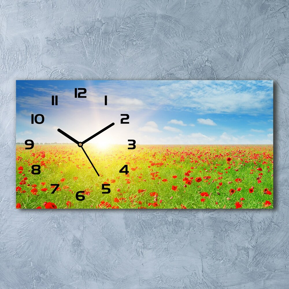 Horizontal wall clock Maków field