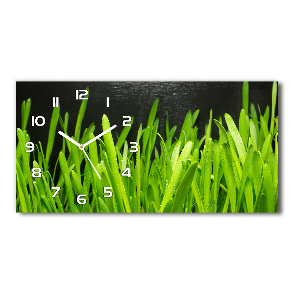 Horizontal rectangular wall clock Grass