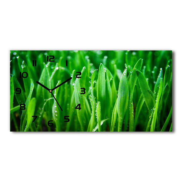 Horizontal rectangular wall clock Grass