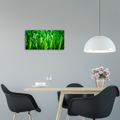 Horizontal rectangular wall clock Grass