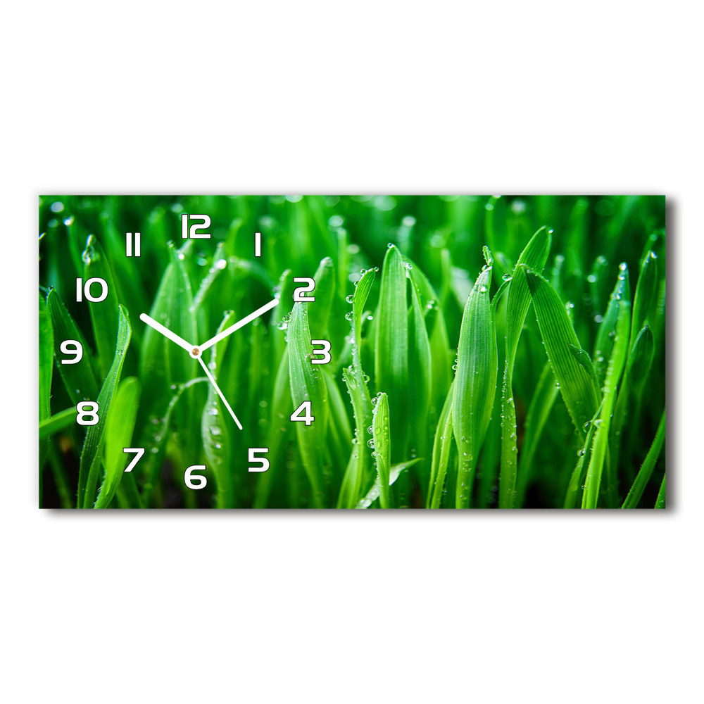 Horizontal rectangular wall clock Grass