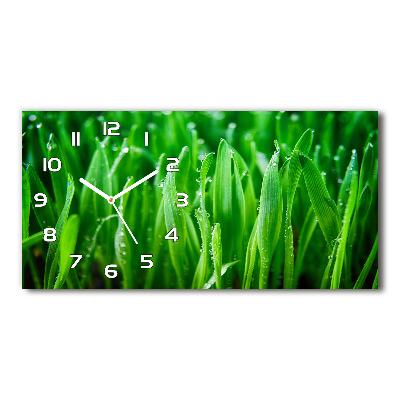 Horizontal rectangular wall clock Grass