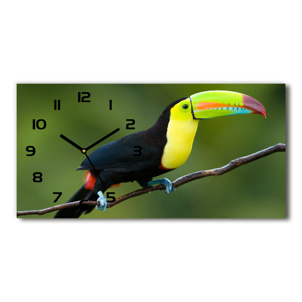 Horizontal wall clock Toucan