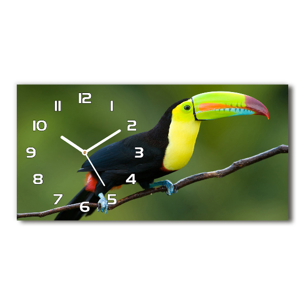 Horizontal wall clock Toucan