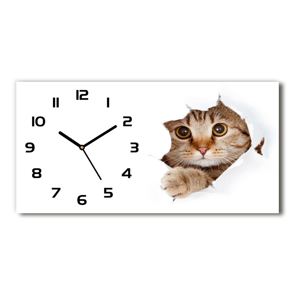 Horizontal rectangular wall clock Cat