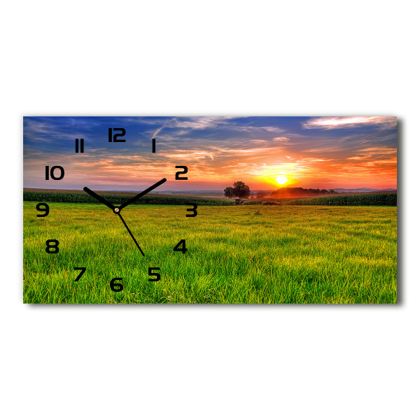 Horizontal wall clock Sunset meadow