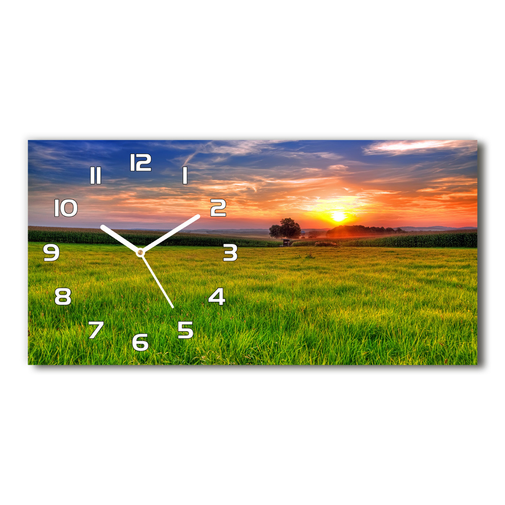 Horizontal wall clock Sunset meadow