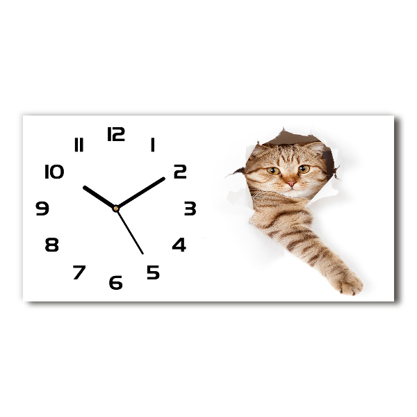 Horizontal rectangular wall clock Cat