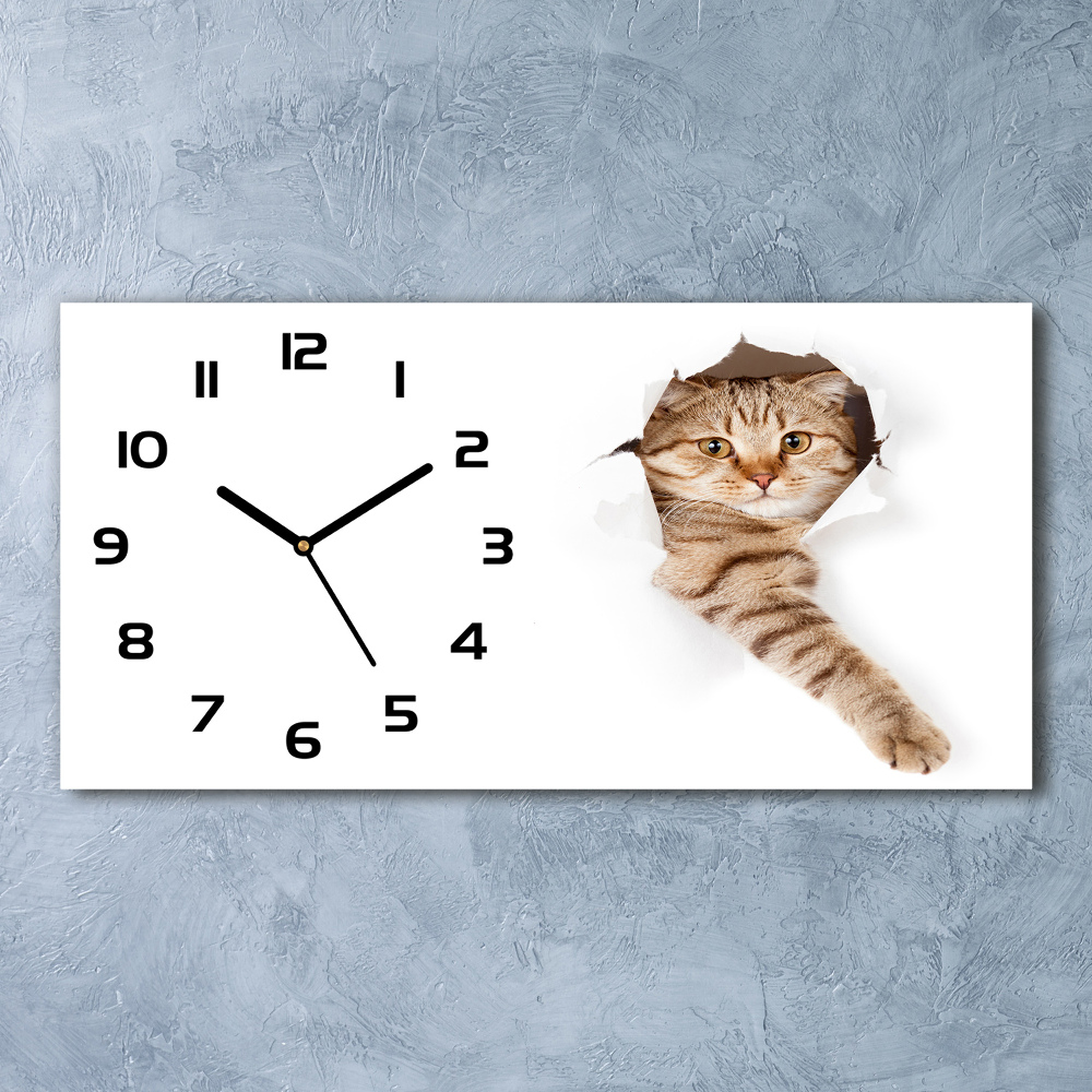 Horizontal rectangular wall clock Cat