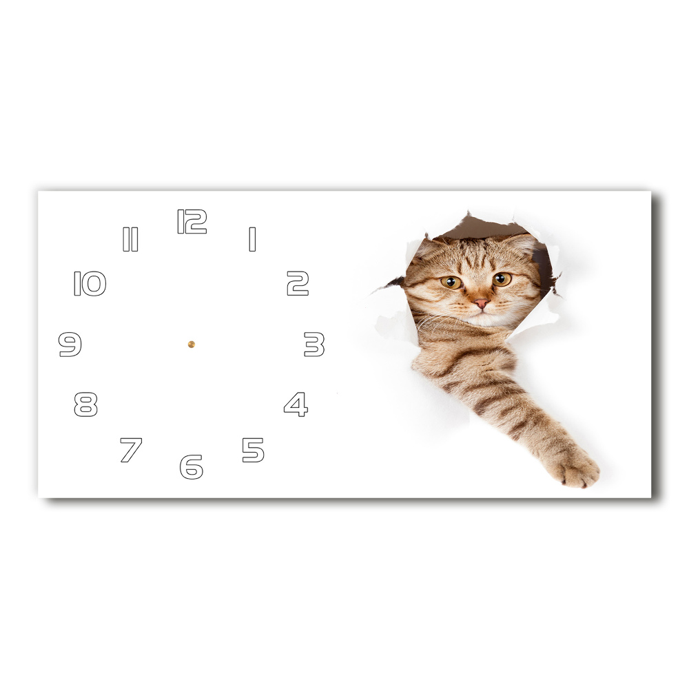 Horizontal rectangular wall clock Cat