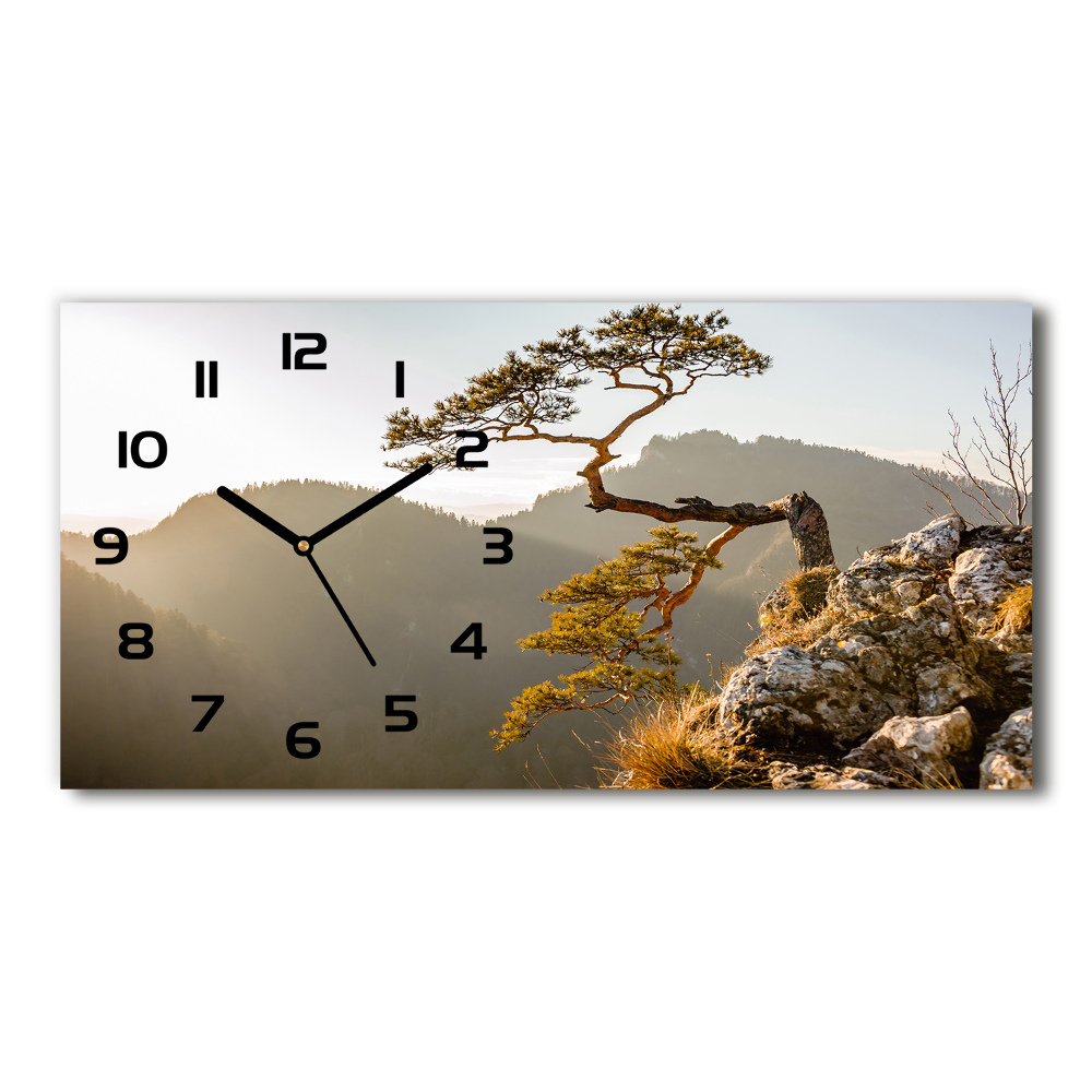 Horizontal wall clock Sokolica Pieniny