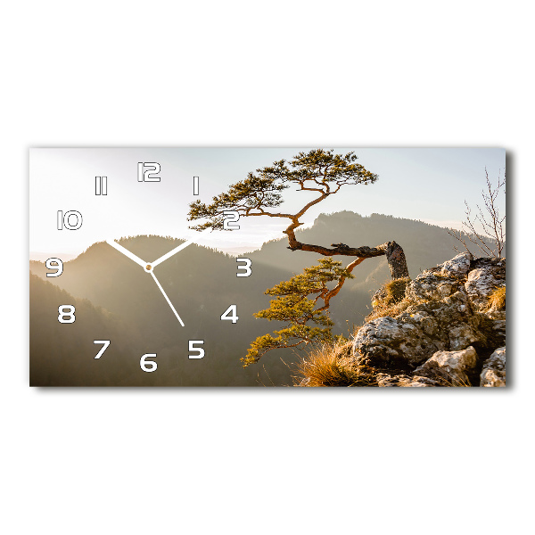 Horizontal wall clock Sokolica Pieniny