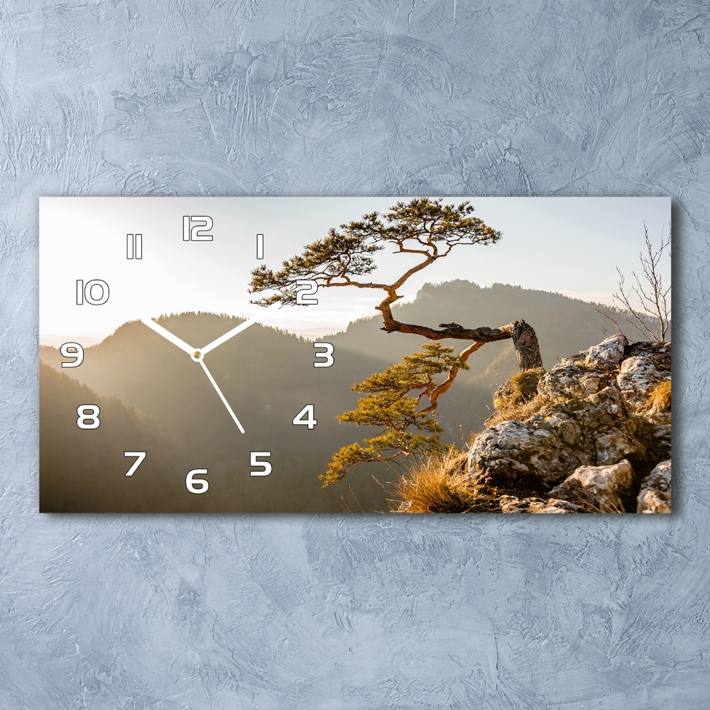 Horizontal wall clock Sokolica Pieniny