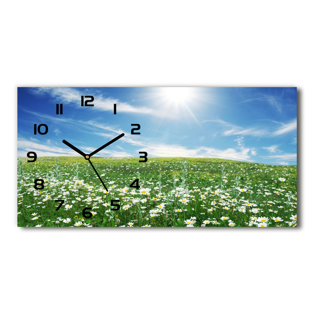 Horizontal wall clock Meadow