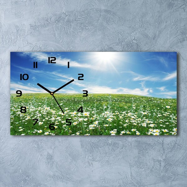 Horizontal wall clock Meadow