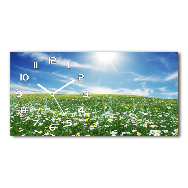 Horizontal wall clock Meadow