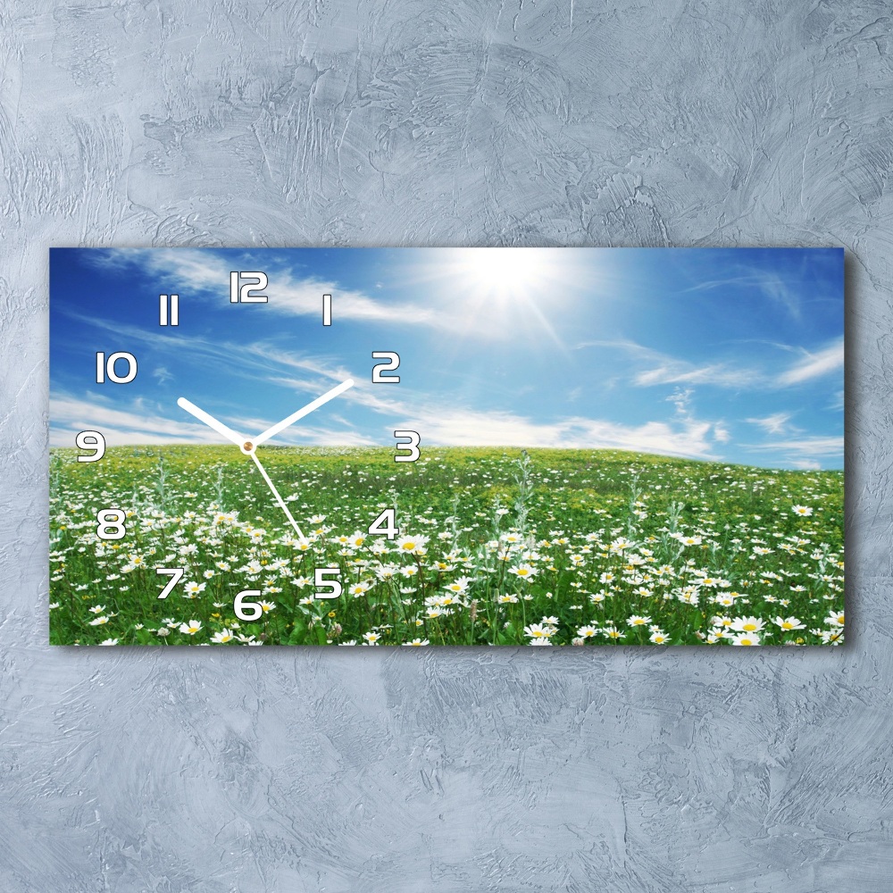 Horizontal wall clock Meadow