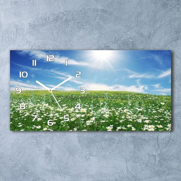 Horizontal wall clock Meadow