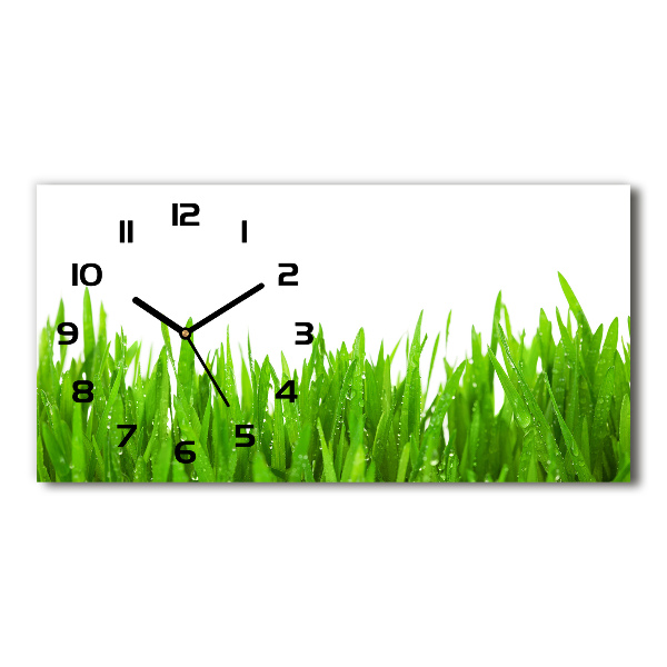 Horizontal wall clock Grass