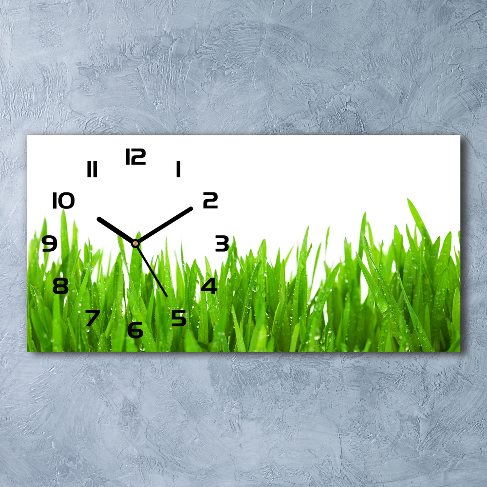 Horizontal wall clock Grass