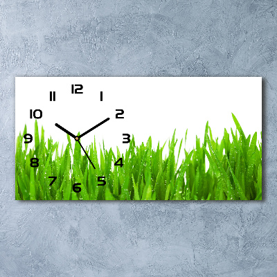 Horizontal wall clock Grass