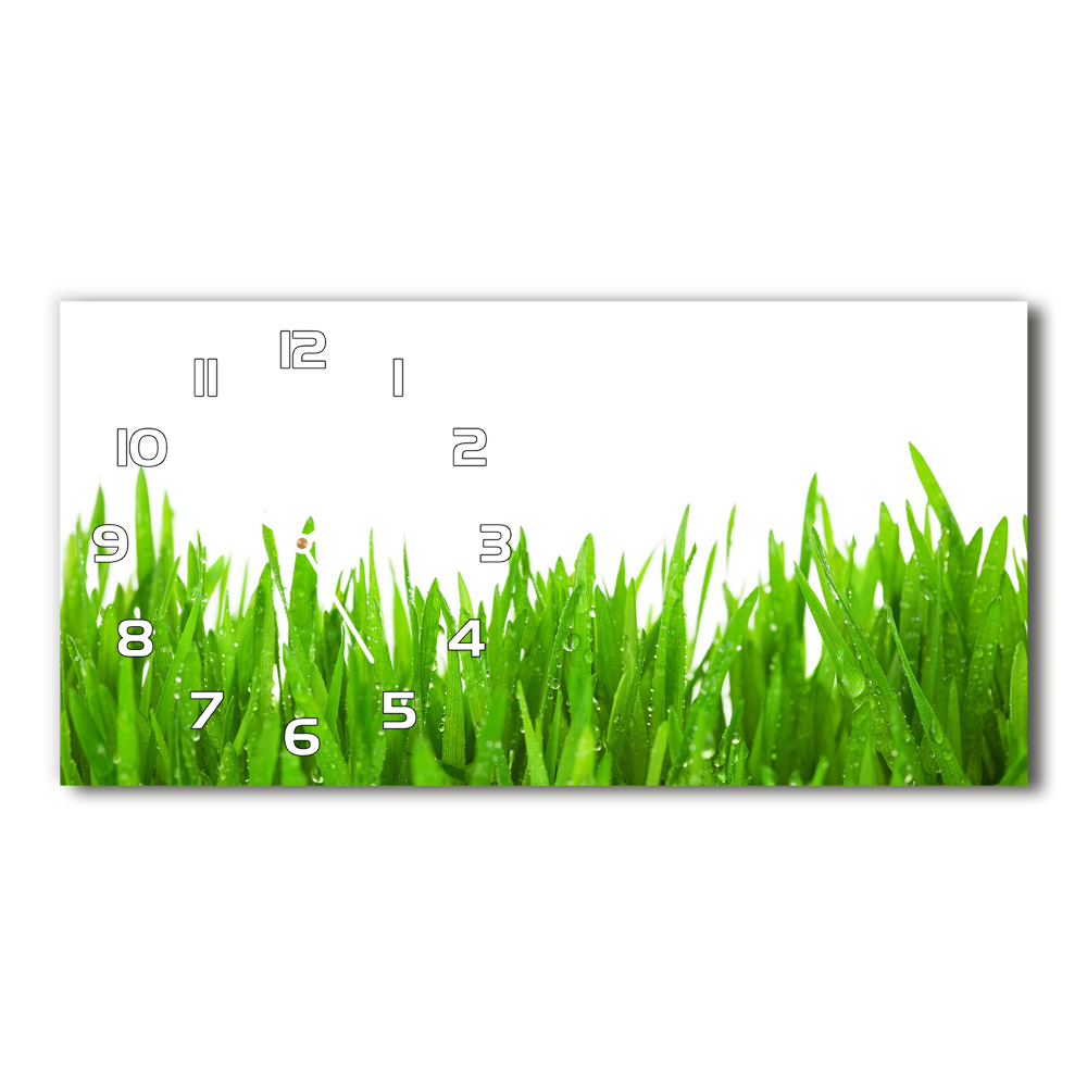 Horizontal wall clock Grass