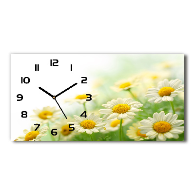 Horizontal wall clock Daisy