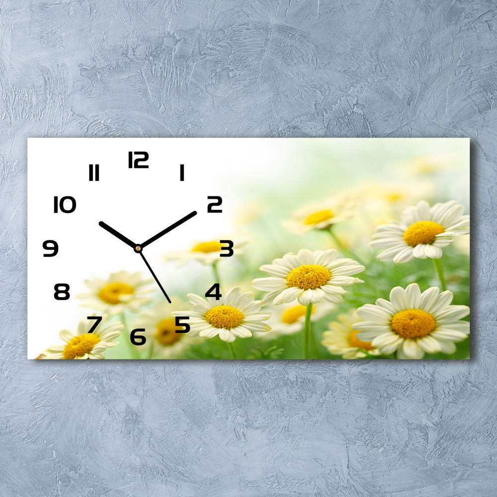 Horizontal wall clock Daisy