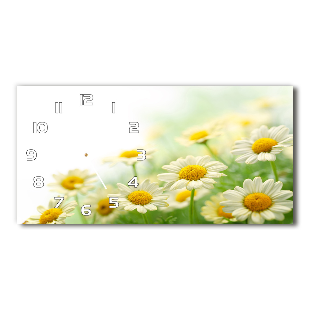 Horizontal wall clock Daisy