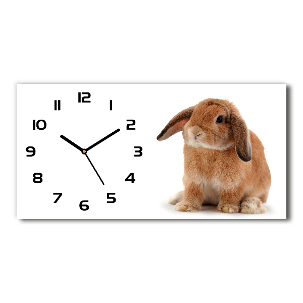 Horizontal rectangular wall clock Rabbit ore