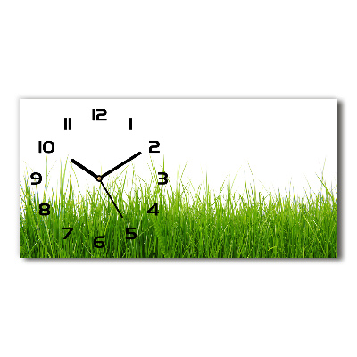 Horizontal rectangular wall clock Grass