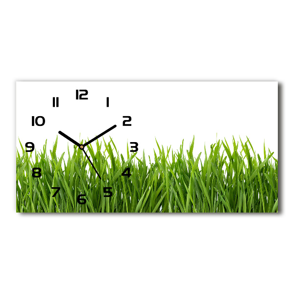 Horizontal wall clock Grass