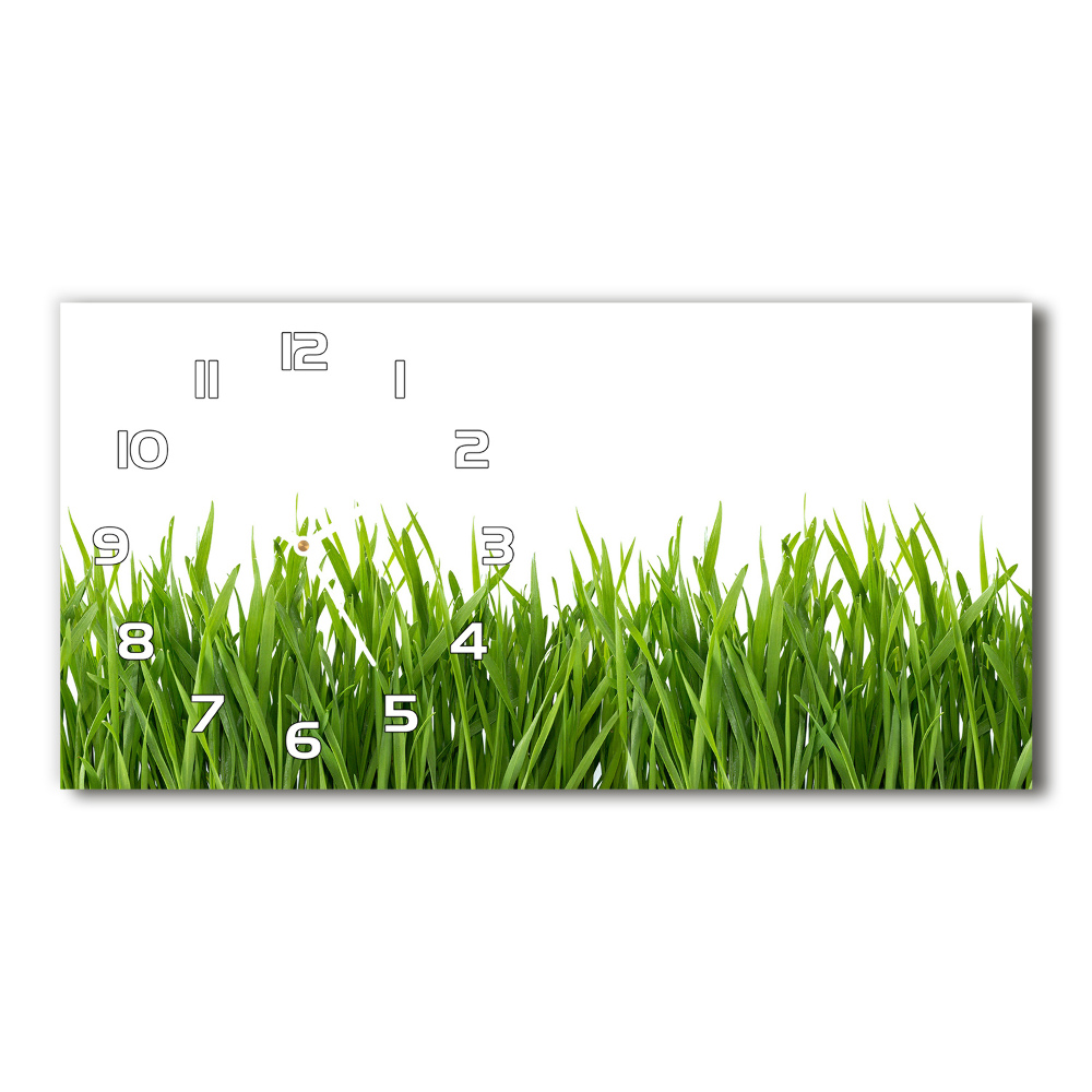 Horizontal wall clock Grass