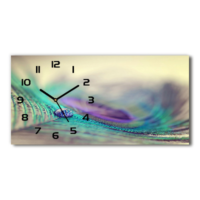 Horizontal rectangular wall clock Drop on the feather