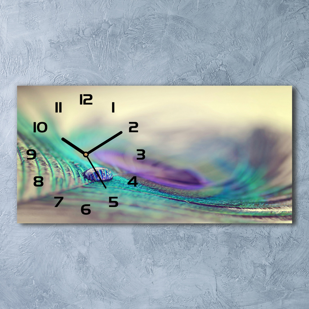 Horizontal rectangular wall clock Drop on the feather