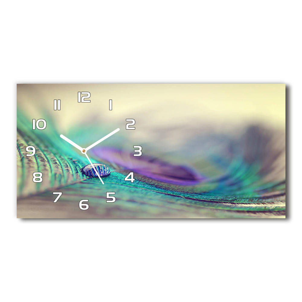 Horizontal rectangular wall clock Drop on the feather