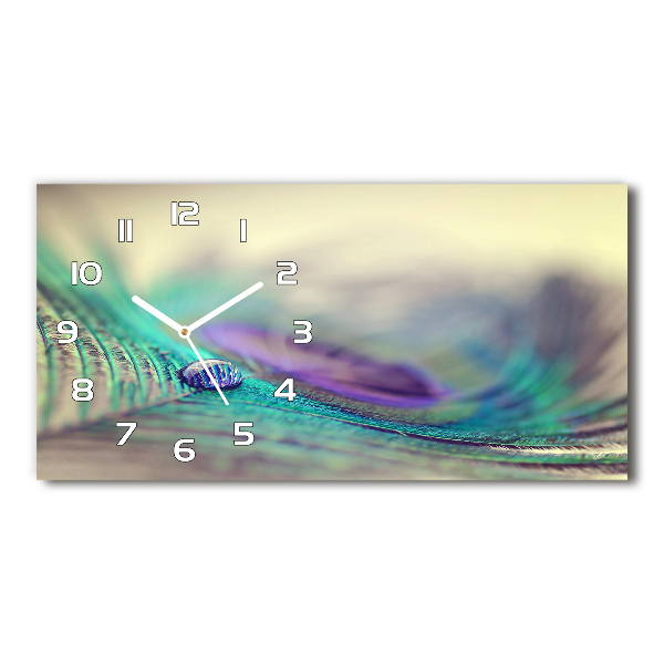 Horizontal rectangular wall clock Drop on the feather