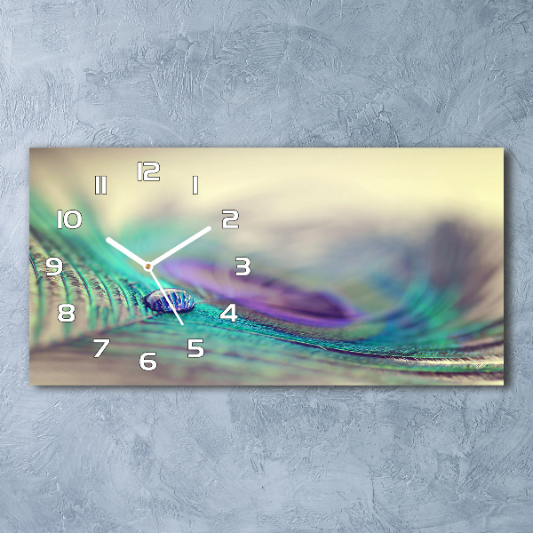 Horizontal rectangular wall clock Drop on the feather