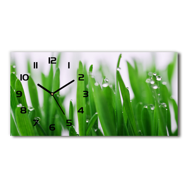 Horizontal rectangular wall clock Blade of grass