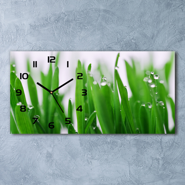 Horizontal rectangular wall clock Blade of grass