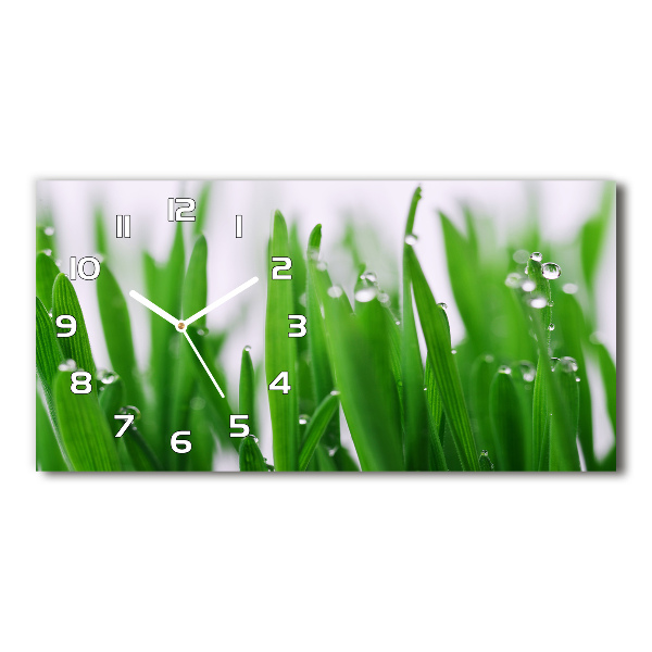 Horizontal rectangular wall clock Blade of grass