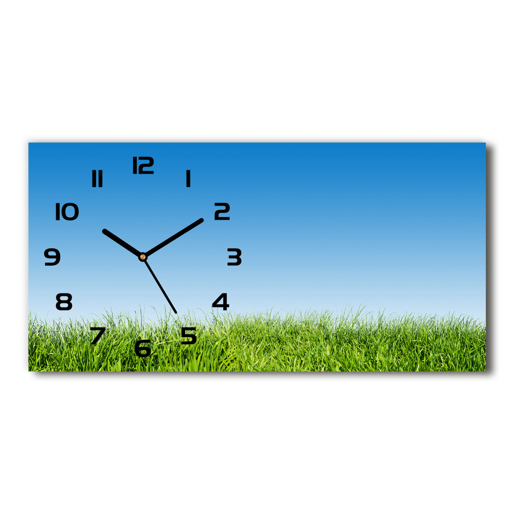 Horizontal wall clock Grass