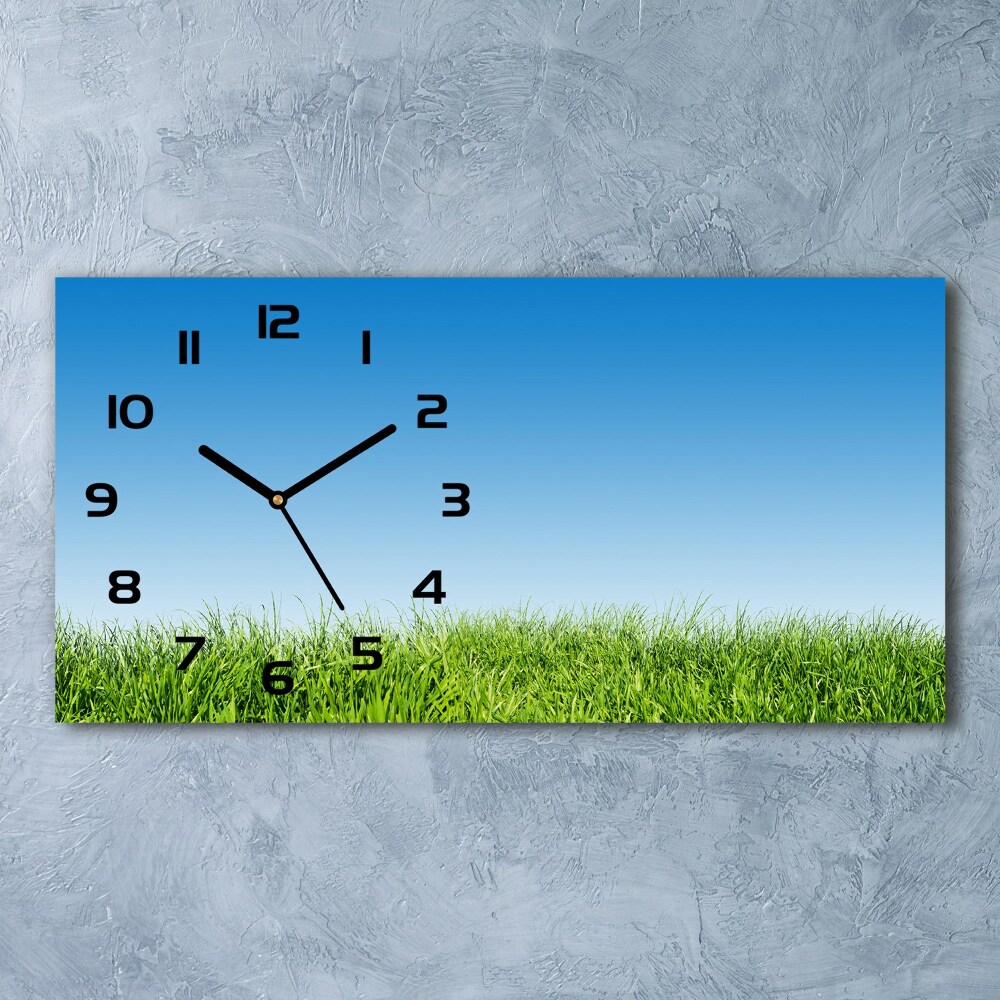 Horizontal wall clock Grass