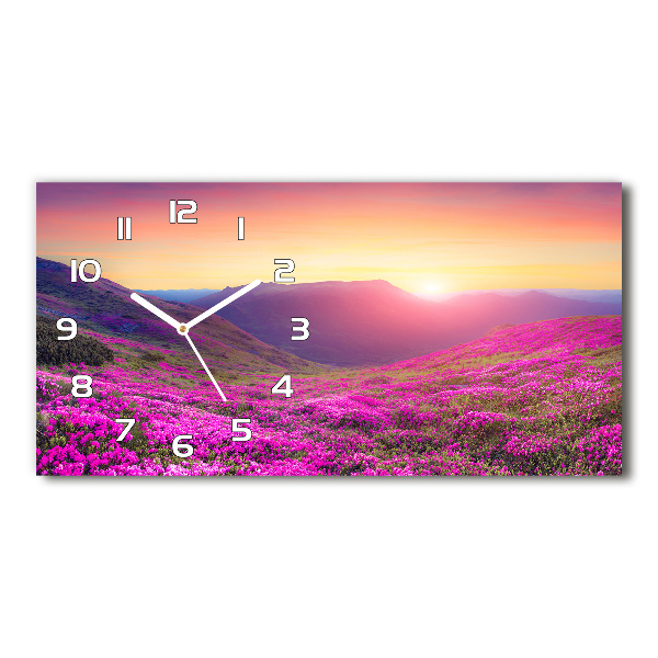 Horizontal wall clock Pink hills